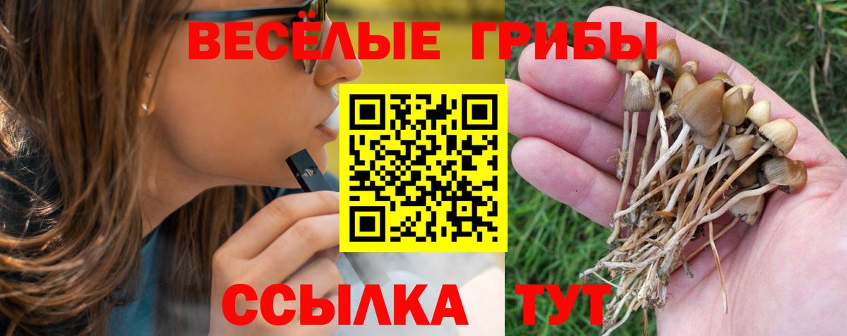 Псилоцибиновые грибы Psilocybe  Вход с VPN  Ижевск  Галлюциногенные грибы мухоморы 